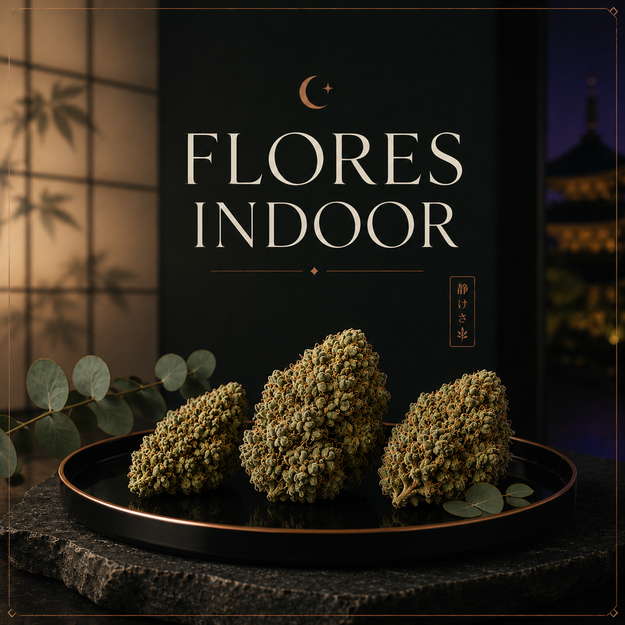 Flores Indoor