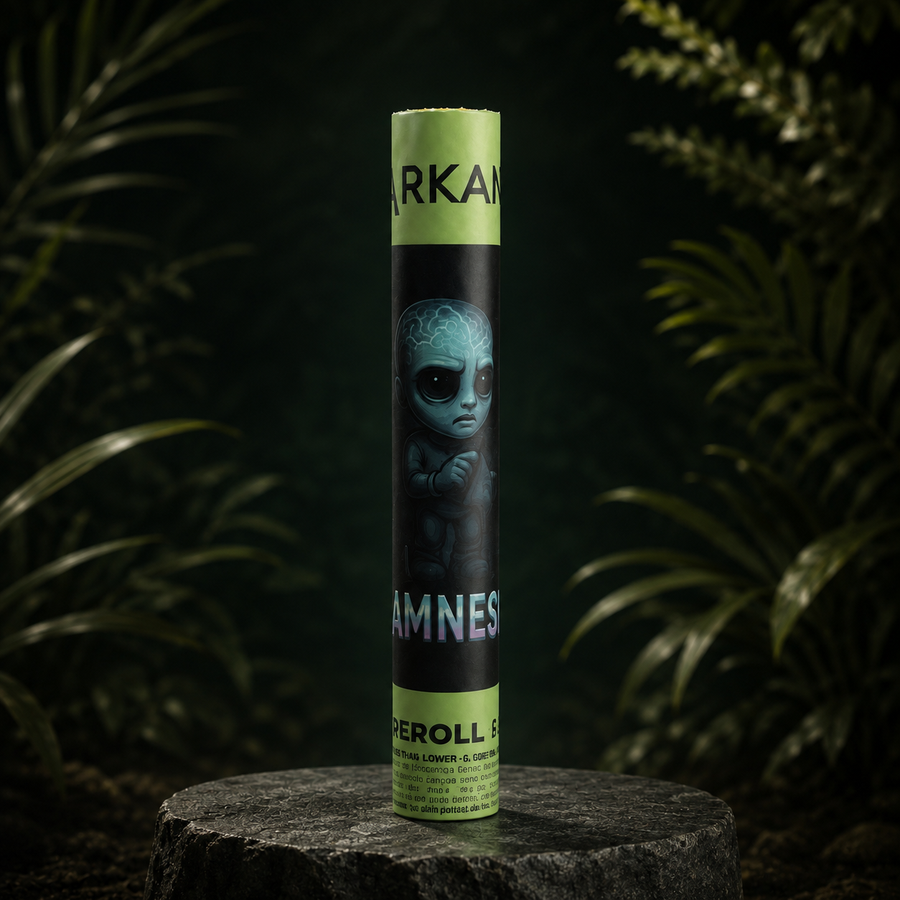 Preroll Amnesia