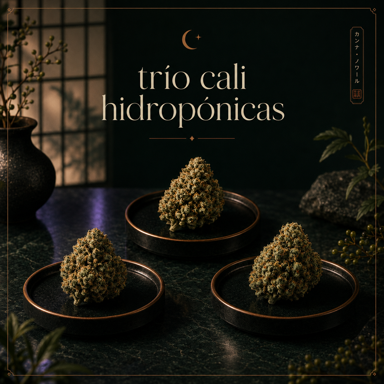 Trío Cali Hidropónicas