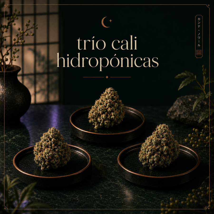 Trío Cali Hidropónicas