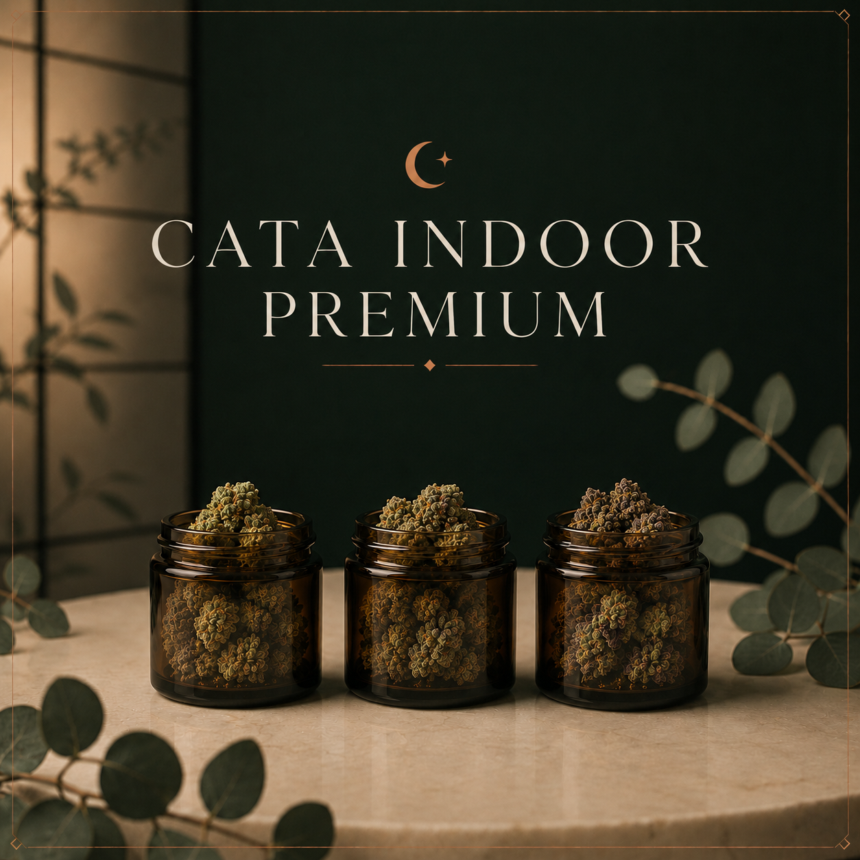 Cata Indoor Premium